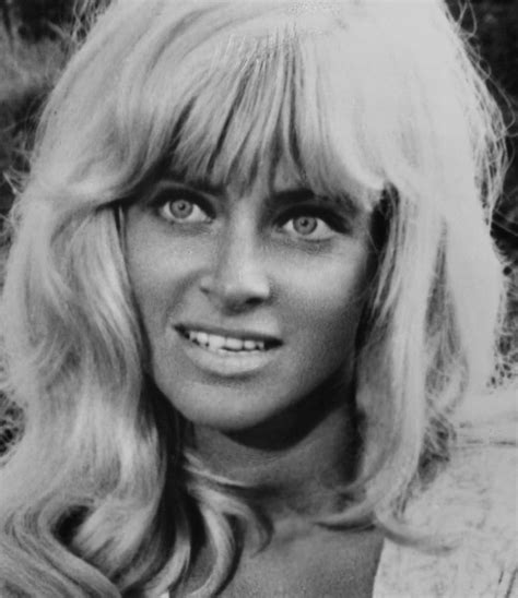 joy harmon then and now|Joy Harmon Photos, News and Videos, Trivia and Quotes